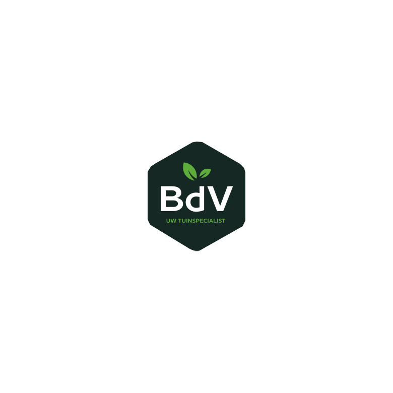BVD