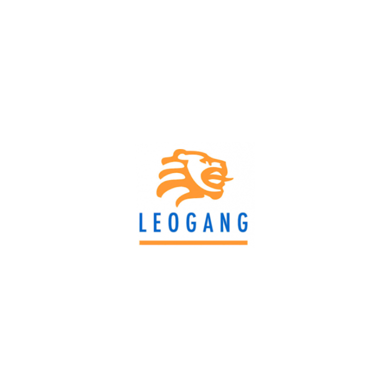 Leogang